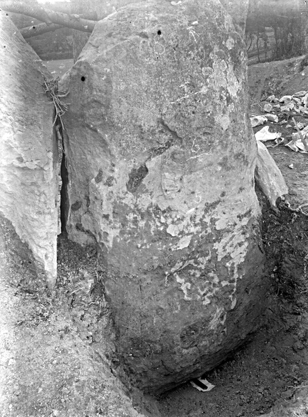 Coldrum Stone text awaited